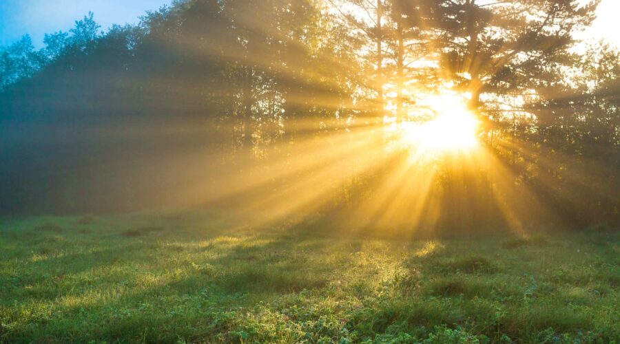 shutterstock_1680953764