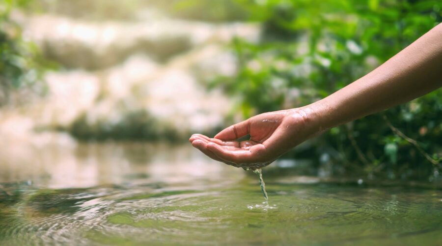 shutterstock_2488278525