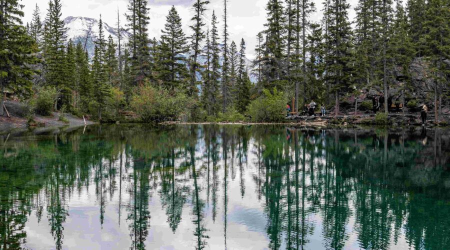 shutterstock_2530269715