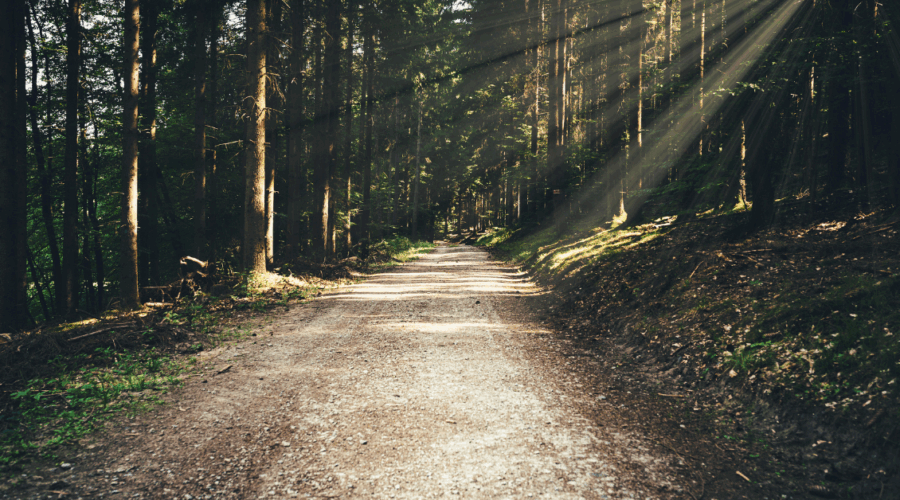 Αφορολόγητες Παροχές σε Είδος και Χρήμα: Τι Ισχύει για το Φορολογικό έτος 2024
