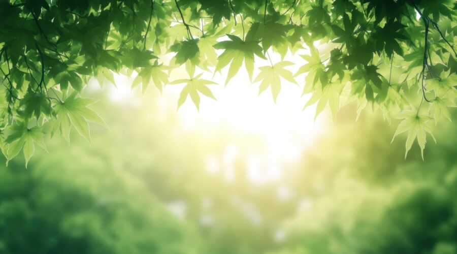 Κοινωνικό Οικιακό Τιμολόγιο 2025