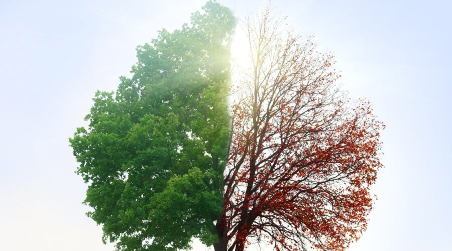 νέα φορολογικά και οικονομικά μέτρα για το 2026