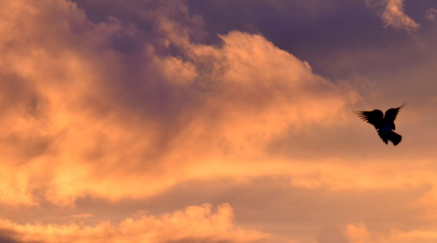 Έρχονται Φορολογικές Ελαφρύνσεις για τις Επιχειρήσεις