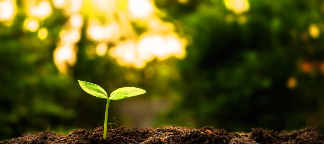 Επιχειρήσεις σε κρίση: Οι παράγοντες που διαμορφώνουν αντοχή και βιωσιμότητα