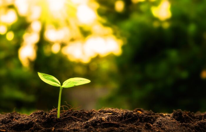 Επιχειρήσεις σε κρίση: Οι παράγοντες που διαμορφώνουν αντοχή και βιωσιμότητα