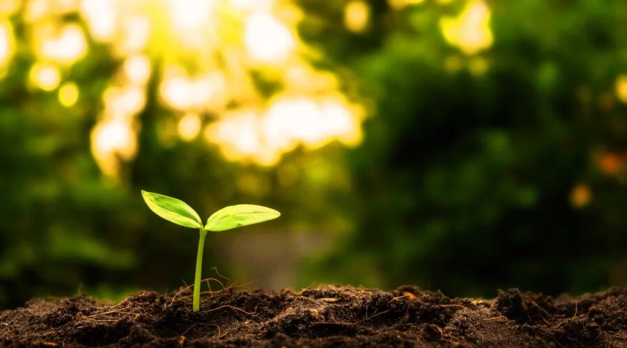 Επιχειρήσεις σε κρίση: Οι παράγοντες που διαμορφώνουν αντοχή και βιωσιμότητα