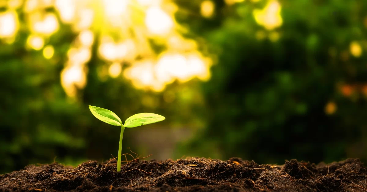 Επιχειρήσεις σε κρίση: Οι παράγοντες που διαμορφώνουν αντοχή και βιωσιμότητα