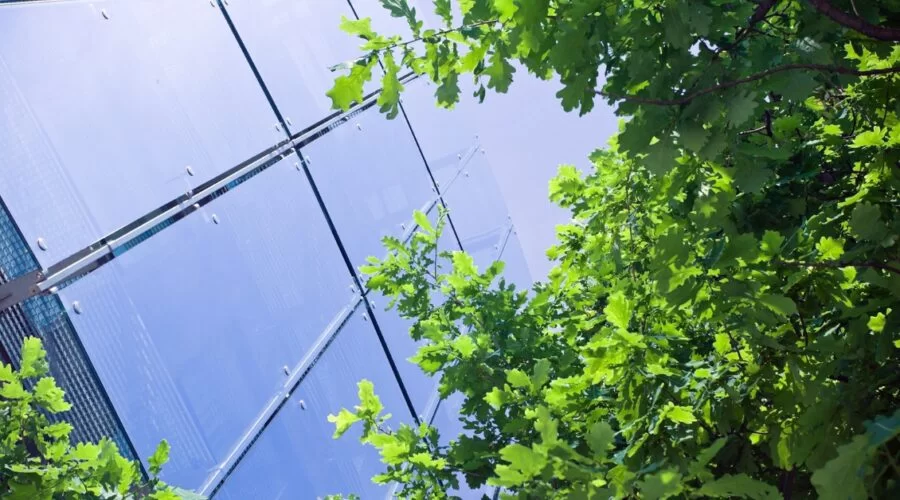 Ο μικρομεσαίος απέναντι στις πολυεθνικές: το δίλημμα της κλίμακας και η αναζήτηση νέων πλεονεκτημάτων