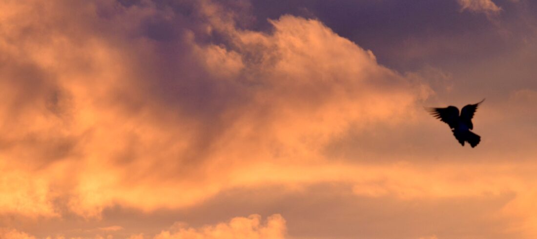 forologikes-elafrynseis-epixeiriseis-2026-2027 Έρχονται Φορολογικές Ελαφρύνσεις για τις Επιχειρήσεις